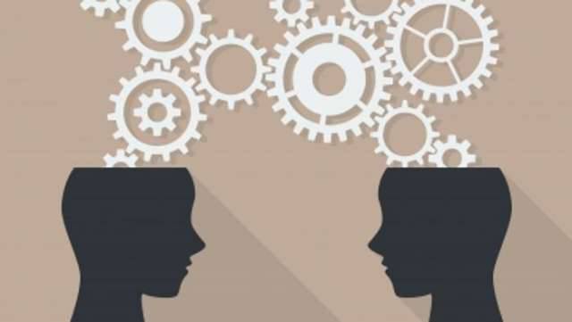 cervello-umano-unisex