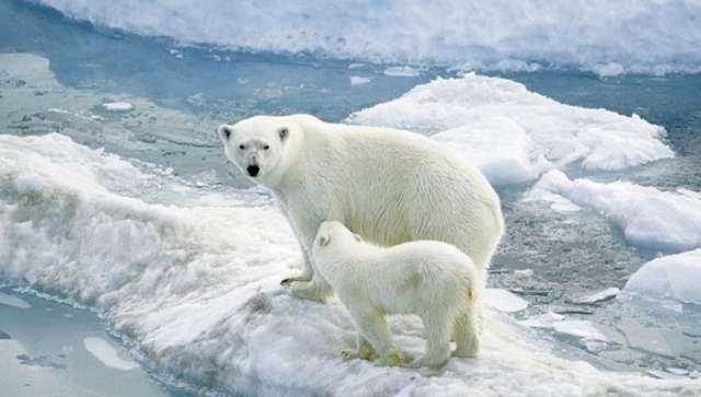 polo-nord-ghiacci