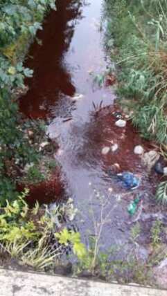 Sversamento Solofrana 07.09.2016