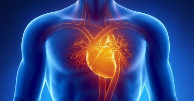 Patologie cardiovascolari